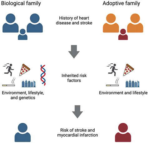 Familial History of Stroke and Stroke Risk .